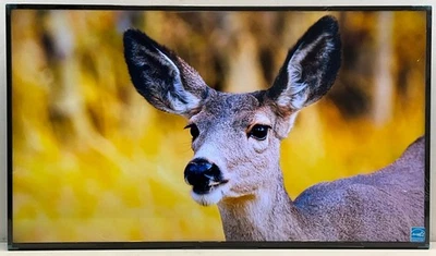 Sony 50" BRAVIA Professional Display BZ30L 4K 60Hz HDR Android OS TV FW-50BZ30L - Image 1 of 4