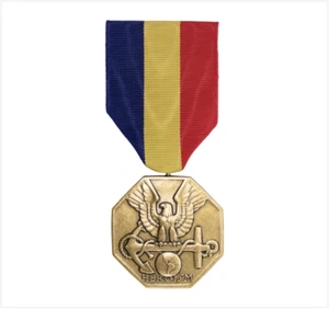 GENUINE U.S. FULL SIZE MEDAL: NAVY AND MARINE CORPS MEDAL - Picture 1 of 1