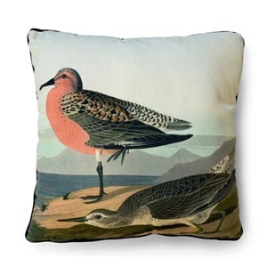 John James Audubon Red Breasted Sandpiper Cushion - 40x40cm Piped Brushed Velvet - Picture 1 of 1