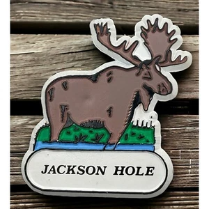 Jackson Hole WY Kühlschrankmagnet Vintage braun Elch Reise Souvenir - Bild 1 von 6