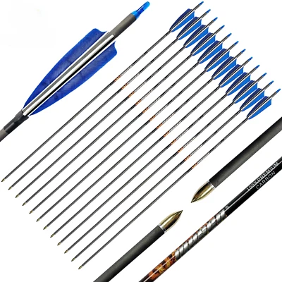 Arco de tiro con arco pluma de pavo 6/12 piezas flechas de carbono puro ID6,2 MM 4 pulgadas Foto 1 de 4