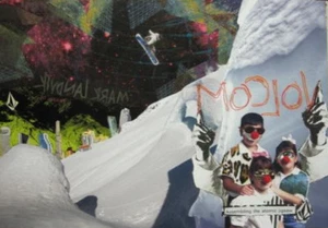VOLCOM SNOWBOARD skateboard 2009 MARK LANDVIK POSTER Flawless New Old Stock - Picture 1 of 1