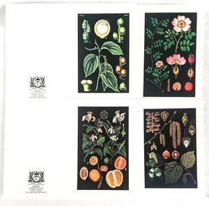 Tarjetas de felicitación de 8,5"" X 5,5"" suministros artesanales 4 sobres para tarjetas - Imagen 1 de 7