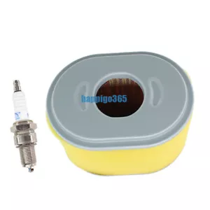 Luftfilter Luftfilterpatrone mit Zündkerze für LIFAN 6,5 PS Benzinmotor - Bild 1 von 6