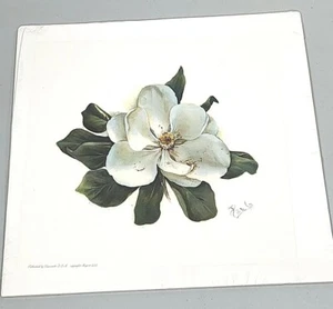 Jardín de Paula Flor Blanca por Paula Vaughan Floral Botánica 11 x 11 - Imagen 1 de 4