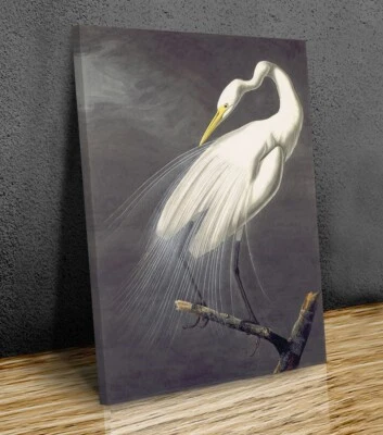 Gran garceta lienzo impresión arte pared enmarcado o impresión solamente Foto 1 de 4