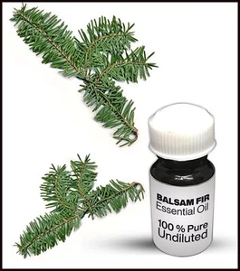 Balsam Fir Essential Oil 100% Pure Undiluted (10ML-500ML) - Picture 1 of 1