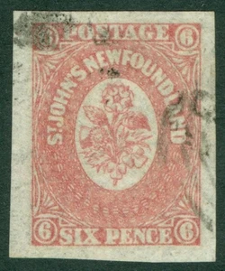 SG 20 Newfoundland 1862-64. 6d rose-lake. Fine used. 4 huge margins CAT £100 - Picture 1 of 1