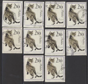 LOTE DE DIEZ SELLOS DE GATO Polonia 1964 #1223 usados ideales para manualidades. (STOCK SCAN) - Imagen 1 de 1