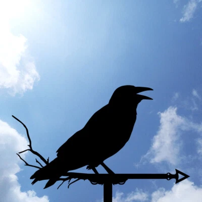 Crow Metal Weathervane, Weather Vane, home roof decor, raven, corbie - Image 1 of 4