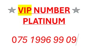 VIP Number Easy Gold Platinum Memorable Number EASY NUMBER '075 1996 9909' - Picture 1 of 1