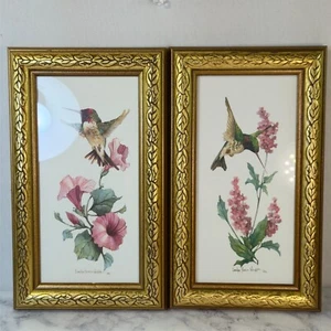 Juego de 2 estampados vintage de colibríes Carolyn Shores Wright enmarcados con fecha 1992 - Imagen 1 de 8