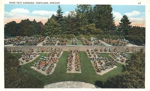 Postal Portland Oregon Vista aérea Rosa Test Gardens - Imagen 1 de 2