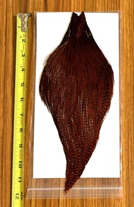 Capa de gallo marrón teñida de grizzly, cuello, atar moscas, sin precio base - Imagen 1 de 1