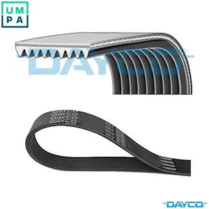 VRIBBED BELT 9PK2010HD FOR MERCEDES-BENZ OM924.930/920/922 4.8L 4cyl ATEGO 2 - Picture 1 of 9