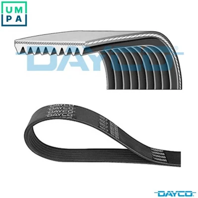 VRIBBED BELT 9PK2010HD FOR MERCEDES-BENZ OM924.930/920/922 4.8L 4cyl ATEGO 2 - Image 1 of 4