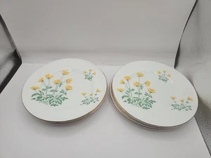 Lote de 8 platos de ensalada Crown Sterling Fine Bone China Surrey Buttercups. - Imagen 1 de 6