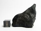 Hammadah al Hamra 346 (Ghadamis) 52.77g Meteorite