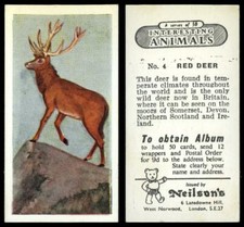 Red Deer #4 Interesting Animals 1954 Neilson's Card