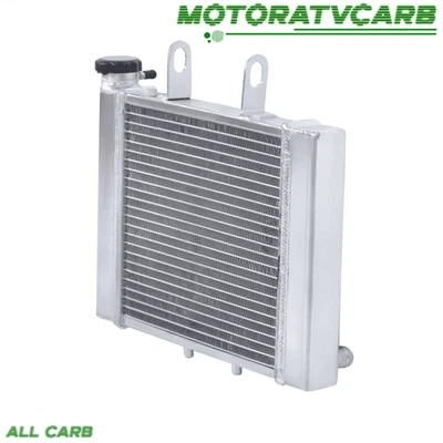 Radiador de 3 filas TODO CARB para Can Am Bombardier Rally 200 2003-2006/175 2007 Foto 1 de 4