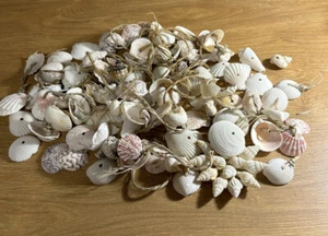 Conchiglie miste conchiglie mare artigianato decorazione lotto da collezione oltre 1 libbra - Foto 1 di 10