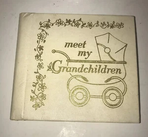Album fotografico vintage Sanitoy Inc Meet My Grandchildren rivelare regalo calza Stuffer - Foto 1 di 8