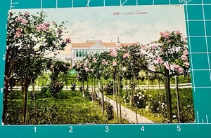 Washington Garden Postkarte 13. Juli 1909 Seattle nach New Hampshire verschickt - Bild 1 von 2