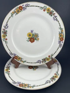 Tressemanes & Vogt Limoges TRV192 Set of 2 Dinner Plates 9 3/4" Discontinued - Picture 1 of 7