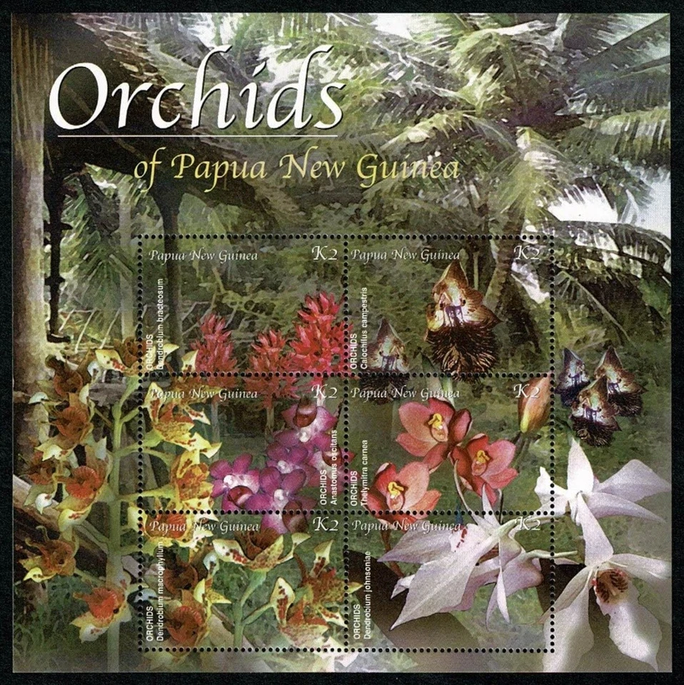 B02 PAPUA NEW GUINEA 2002 MS Flowers - orchids  MNH - Image 1 of 1
