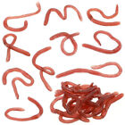 10 Pcs Earthworm Toys Fake Earthworms Baits Props Soft Rubber