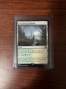 Overgrown Farmland INR NM MTG - Bild 1 von 4