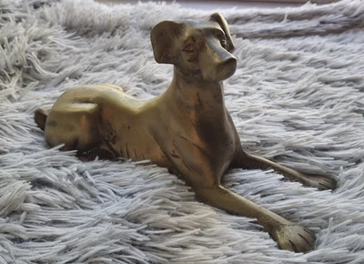 Estatua de perro sentado de metal de latón estatuilla animal pieza de exhibición decoración del hogar 9,25 L Foto 1 de 4