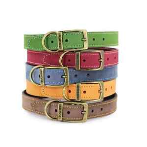 Real Leather Dog Collar | Ancol Timberwolf Genuine Light Strong Puppy Made in UK