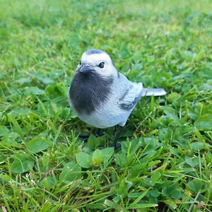 Gartenfigur Bachstelze lebensgroß Vogel Garten Haus Frostsicher Deko Figur - Bild 1 von 17
