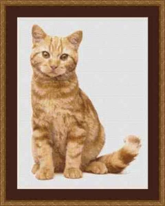 Ginger Cat Cross Stitch Kit - Picture 1 of 2