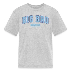 Big Bro Est 2025 Big Brother 2025 Promoted to Brother Kid's T-Shirt - Picture 1 of 16