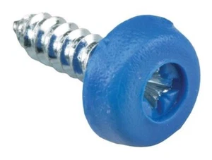 DBG 3/4" Plastic Head PZ Self Tapping Screw Number Plate Fixing - Blue - Pack... - Foto 1 di 1