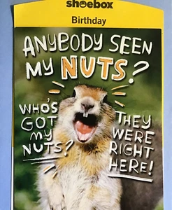 50th BIRTHDAY Card, Adult message! "ANYBODY SEEN MY NUTS? Shoebox 50F - Picture 1 of 2