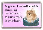 Pomeranian Dog Fridge Magnet "Dog is such a small word...." by Starprint