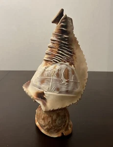 Antique Carved Cameo Conch Shell 10” Tall - Picture 1 of 6