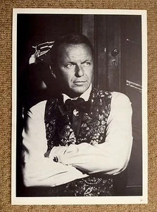 AUDREY HEPBURN & FRANK SINATRA Large Vintage Movie Film Photo Photograph 11x16in - Picture 1 of 2
