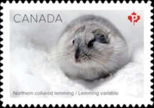 🍁Canada  #3280i    "NORTHERN LEMMING"    Brand New  2021  Die Cut Q-Pac Issue - Bild 1 von 1
