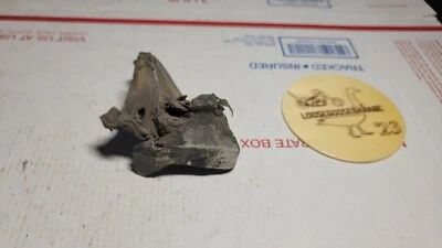 Chevrolet GMC K5 73-75 Blazer Jimmy Sello de puerta Goma Completo Extraíble Tapa Dura OE Foto 1 de 4