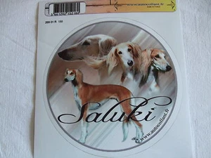 1 autocollant - motif chien  SALUKI - Picture 1 of 1