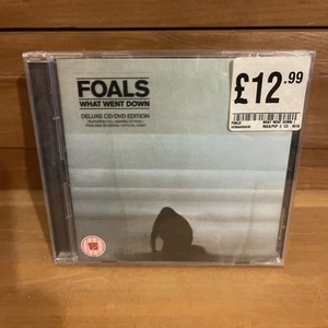 What Went Down [Deluxe Edition] von Foals (CD & DVD, 2015) - Bild 1 von 2