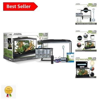 Complete 20 Gallon Glass Aquarium Kit with LED Lighting & Care Essentials - Image 1 of 4