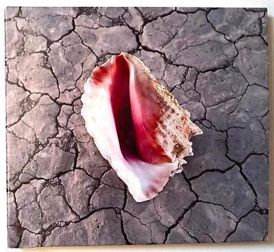 The Killers – Wonderful Wonderful (CD Deluxe Edition, Digisleeve 2017) NEW - Bild 1 von 2