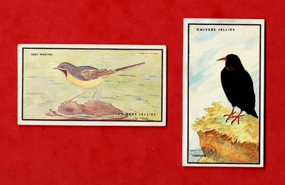 BIRDS ~ CHIVERS WILD WISDOM RIVER & MARSH 2 CARDS  - Image 1 of 2