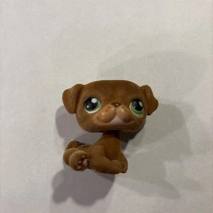 Littlest Pet Shop~#439~carrolino~cane cucciolo~marrone~floccato sfocato~occhi a pois verdi - Foto 1 di 2