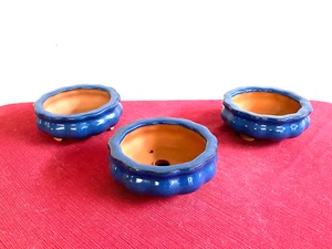3 Set Chinese Bonsai Pot - Flower Shape - Picture 1 of 11